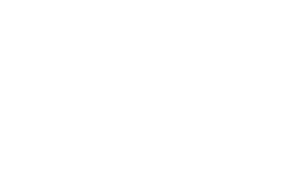 16889810888963