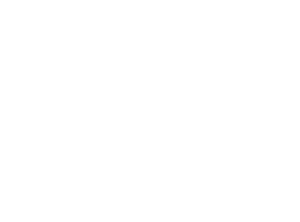 16969213498403